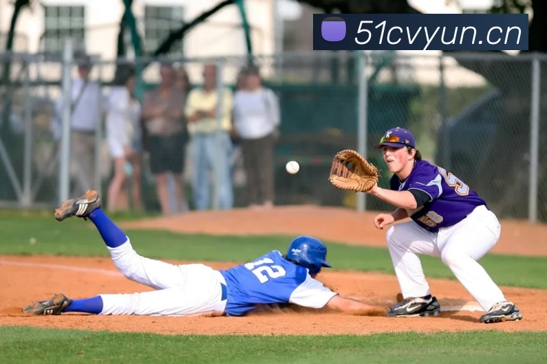 足球世界杯官网中文版平台生态图